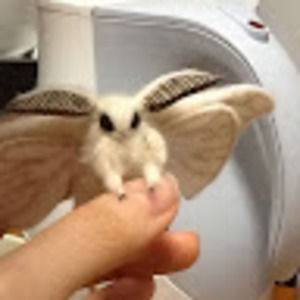 Meet your Posher, Micaela